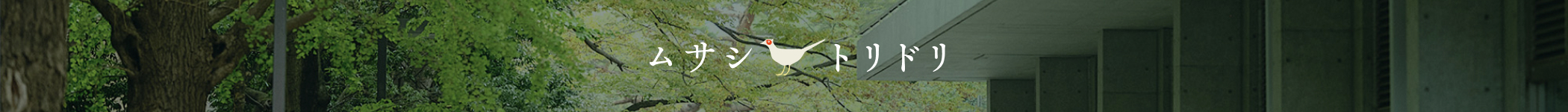 ムサシトリドリ