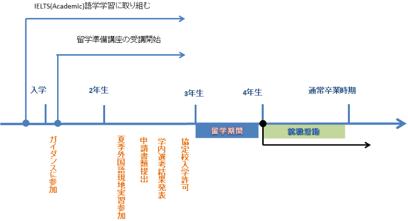 （例1）ケント大学　English PLUS コース（5月～12月）　3年次5月～留学希望の場合