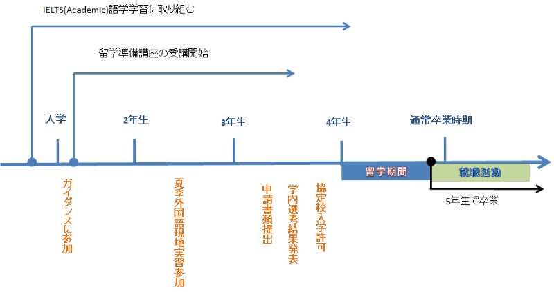 （例2）ケント大学　English PLUS コース（5月～12月）　4年次5月～留学希望の場合