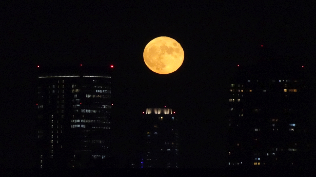 月がビルの間から昇ってきていた月