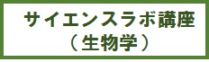 生物学ラボワーク