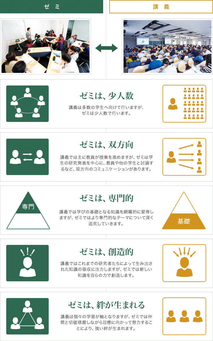 大学のゼミって何するの？