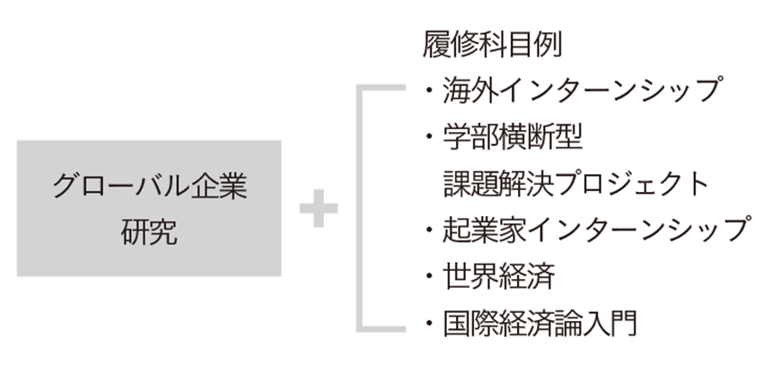 グローバル企業研究