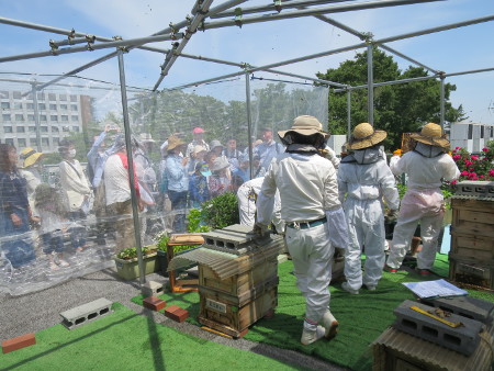 江古田ミツバチ・プロジェクト