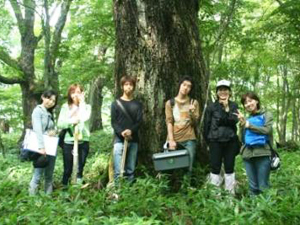 自然科学集中プロジェクト (丸橋珠樹 )