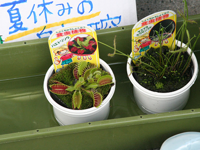 武蔵学生取材と栄町敬老館での出前授業 13