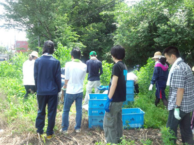 農たい活動報告　2013年7月16日 01
