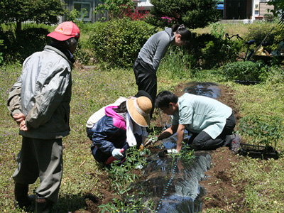 農たい活動　2013年4月27日 