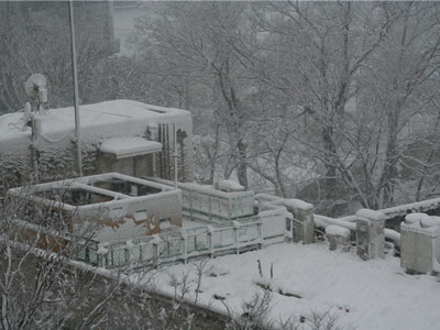 大雪(2013年1月14日)とミツバチ 