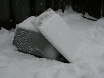 大雪(2013年1月14日)とミツバチ 
