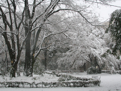 成人式2013年1月14日雪の武蔵 