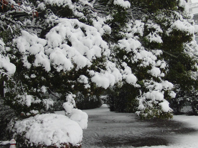 成人式2013年1月14日雪の武蔵 