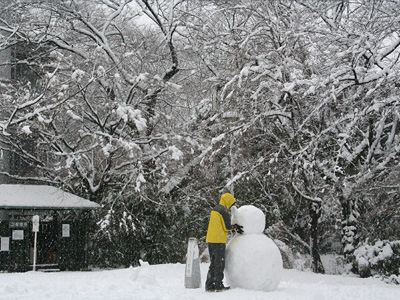 成人式2013年1月14日雪の武蔵 