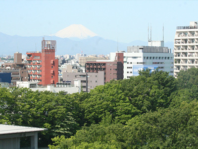 世界文化遺産富士山 