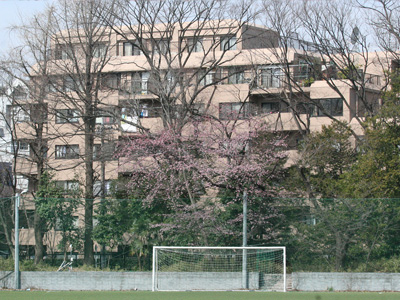 桜の開花