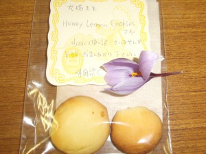 CIMG6099