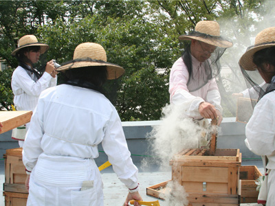 夏本番の内検作業