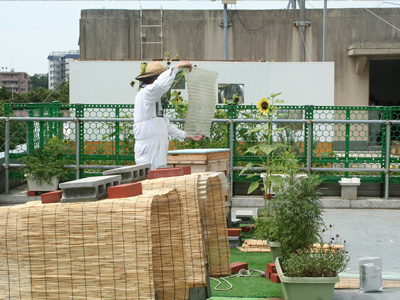 夏本番の内検作業