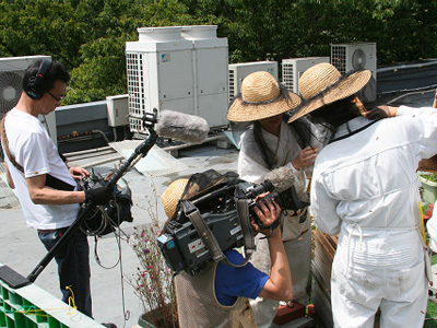  NHK取材 2013.6.8. 02 