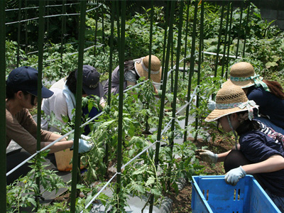 農たい活動　2012年6月30日 