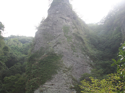 国東農業研修レポート完成09 