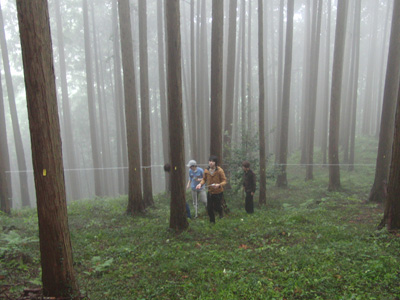 2012年秋　学校山林間伐体験 