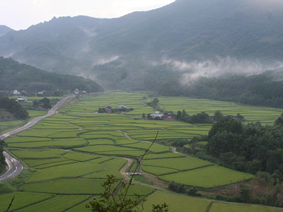 2012年農業研修06 