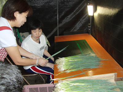 2011年農業研修 02 