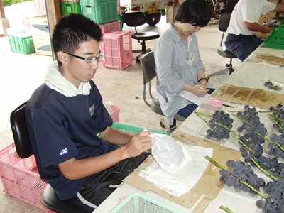2011年農業研修 05