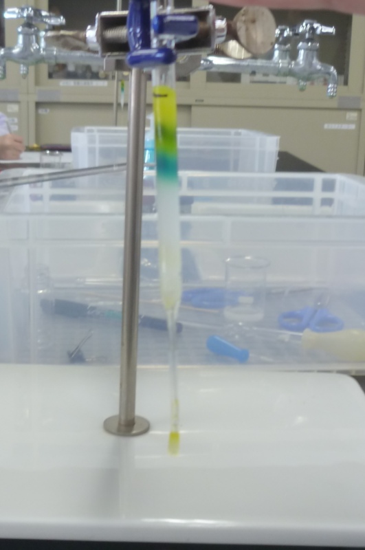 クロマトグラフィーの様子